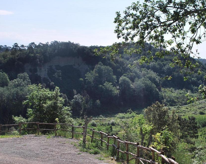 Palaia, la valle del Chiecina è ufficialmente zona di tartufi 