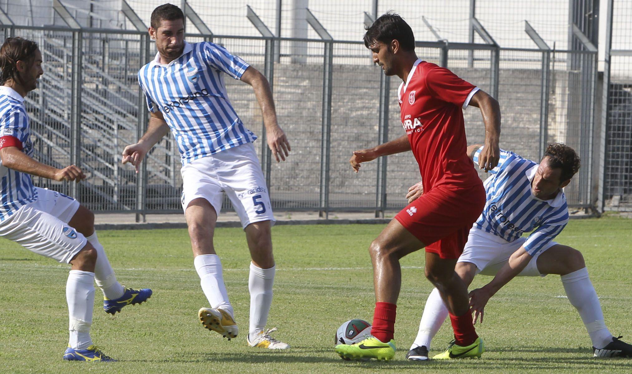 Spal