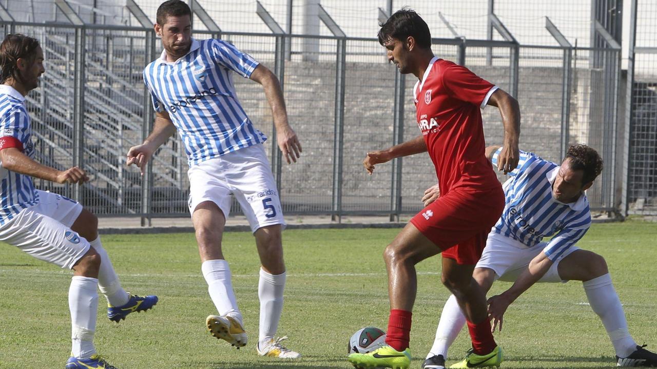 Spal