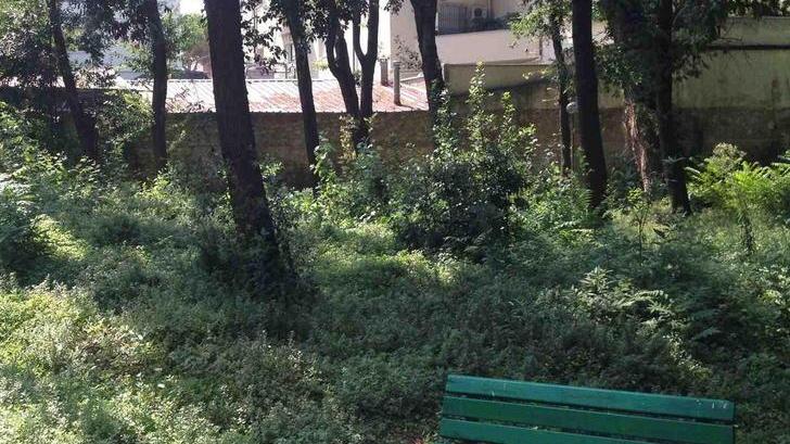 Erba alta e abbandono, viaggio nel parco dei Cappuccini