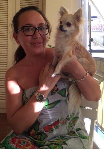 Il chihuahua fa pipì, la padrona aggredita finisce all’ospedale 