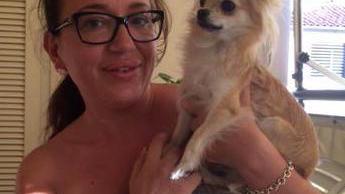 Il chihuahua fa pipì, la padrona aggredita finisce all’ospedale