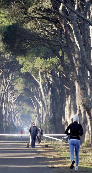 Mobbing contro il comandante: Parco condannato 