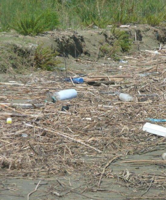 Calambrone, la spiaggia la puliscono i bagnanti 