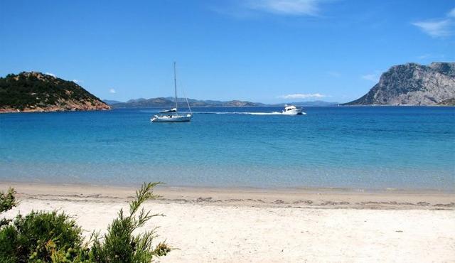 La penisola di Capo Coda Cavallo: sabbia bianca, panorami mozzafiato 