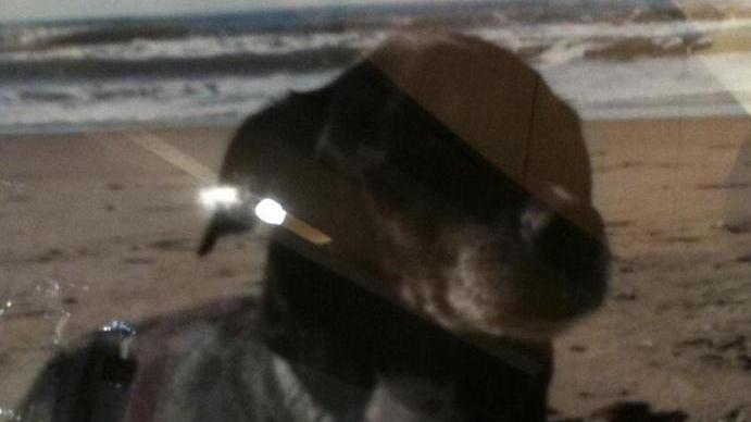 Il Marco Polo piange la sua mascotte Asso