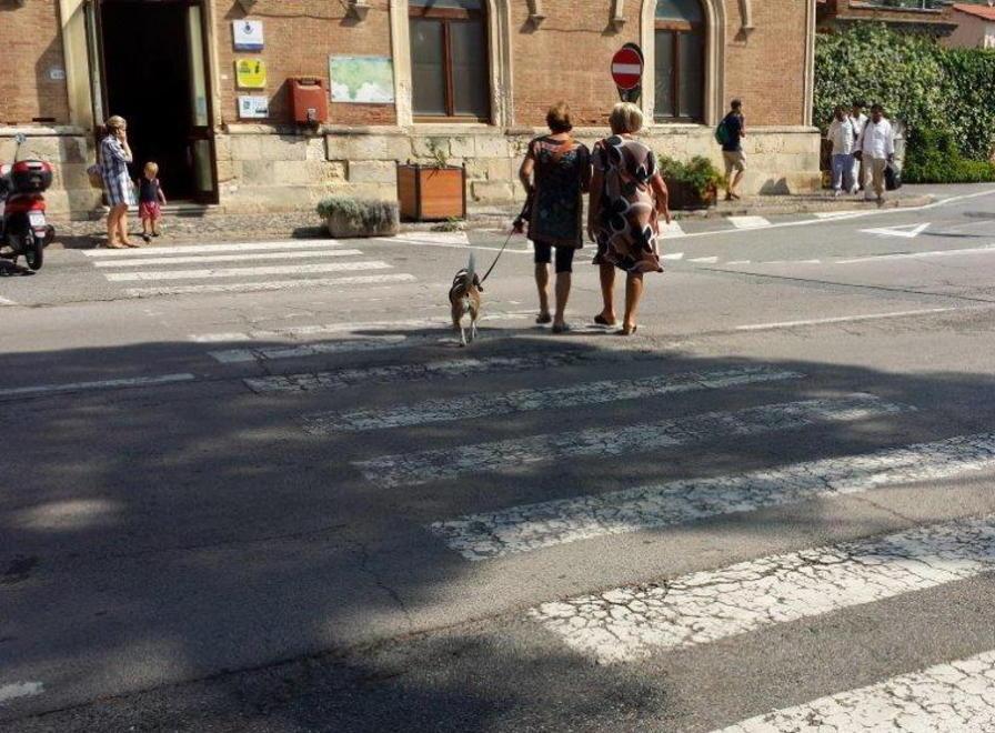 «Strade pericolose, dipingo io le strisce» 
