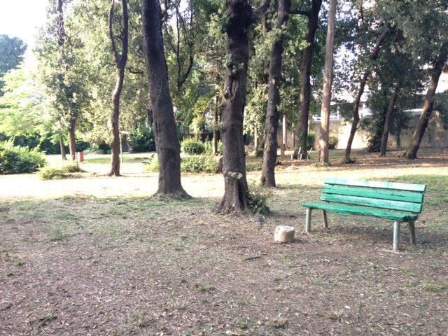 Il Bosco dei Cappuccini torna alla normalità 