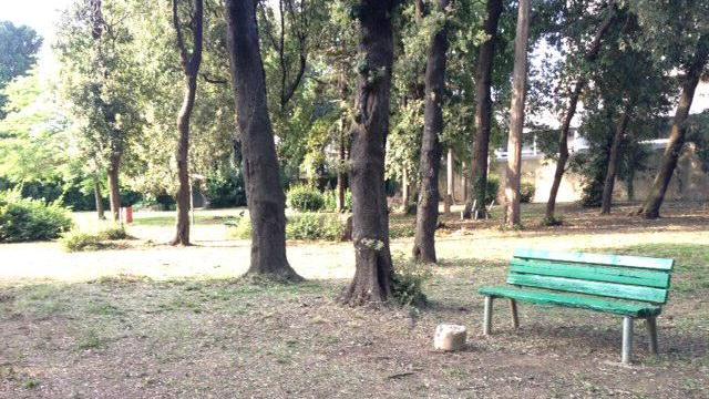 Il Bosco dei Cappuccini torna alla normalità