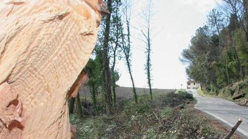 Forestali senza paga dal mese di giugno