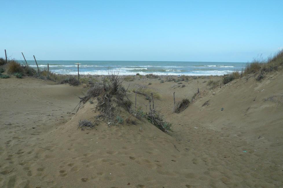 Agguato di notte sulla spiaggia 