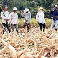 A ConVivere anche l’Africa da mangiare 