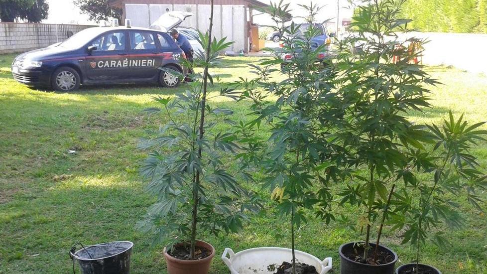 Contro i genitori e il carabiniere