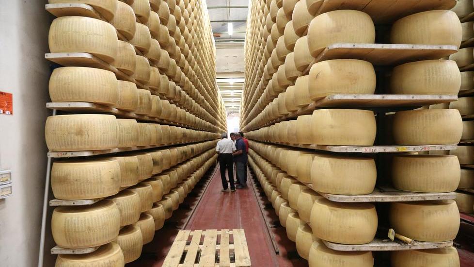 Tentano di truffare un caseificio con assegno falso: due denunciati