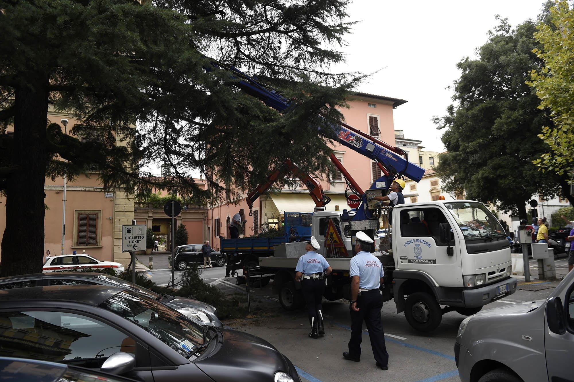 Ramo si stacca e finisce su due auto in sosta 