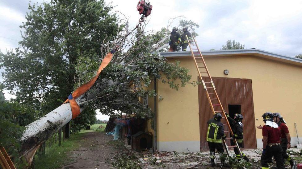 Bibbiano, tromba d’aria e grandine. Alberi sradicati e tanti danni