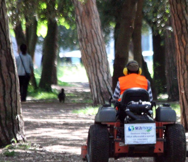 Assunzioni in Sea risorse: scontro azienda-Comune 