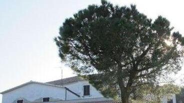 Case, negozi e un albergo una raffica di beni all’asta