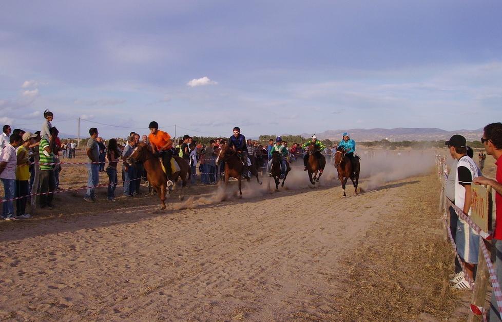 Ittireddu, «Pistolino» si aggiudica il Palio degli asinelli