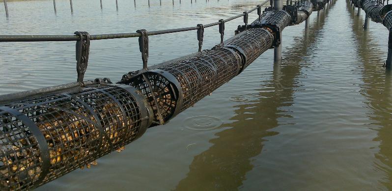 Orosei, nuove azioni contro abusivismo e contraffazione 