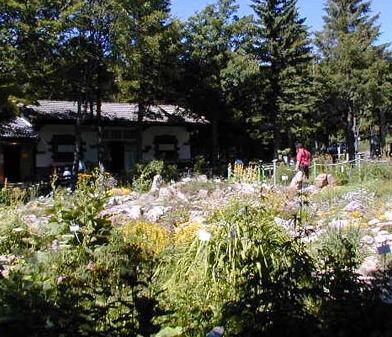 Esperia, il giardino del mondo ai piedi del Cimone 