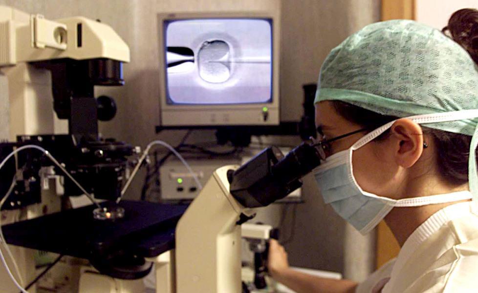 Fecondazione, un calvario Il racconto di una mamma 