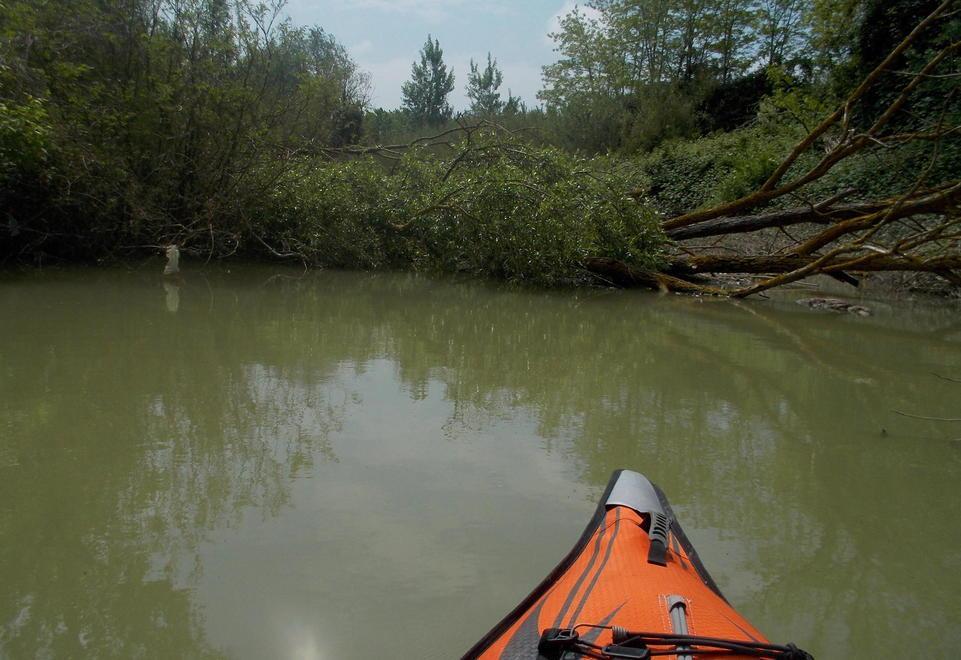 Reportage lungo i fiumi ecco le cause delle alluvioni 
