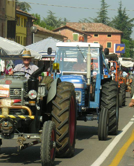 Benedizione di trattori sfilate e spettacoli: ecco la fiera di S. Rocco 