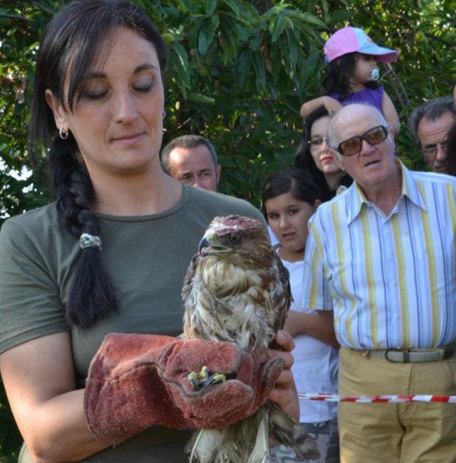 Festa a San Giacomo per liberare poiane gheppi e altri rapaci