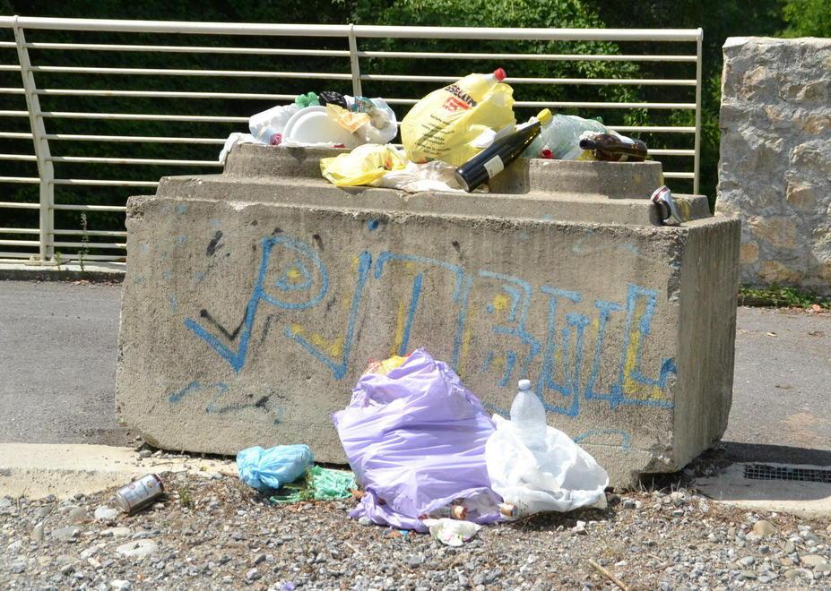 Lungo il fiume è cresciuta una giungla 