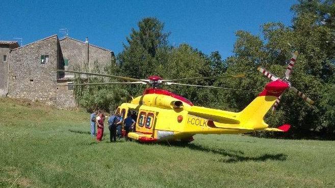 Cade e sbatte la testa: ciclista di 48 anni portato a Siena