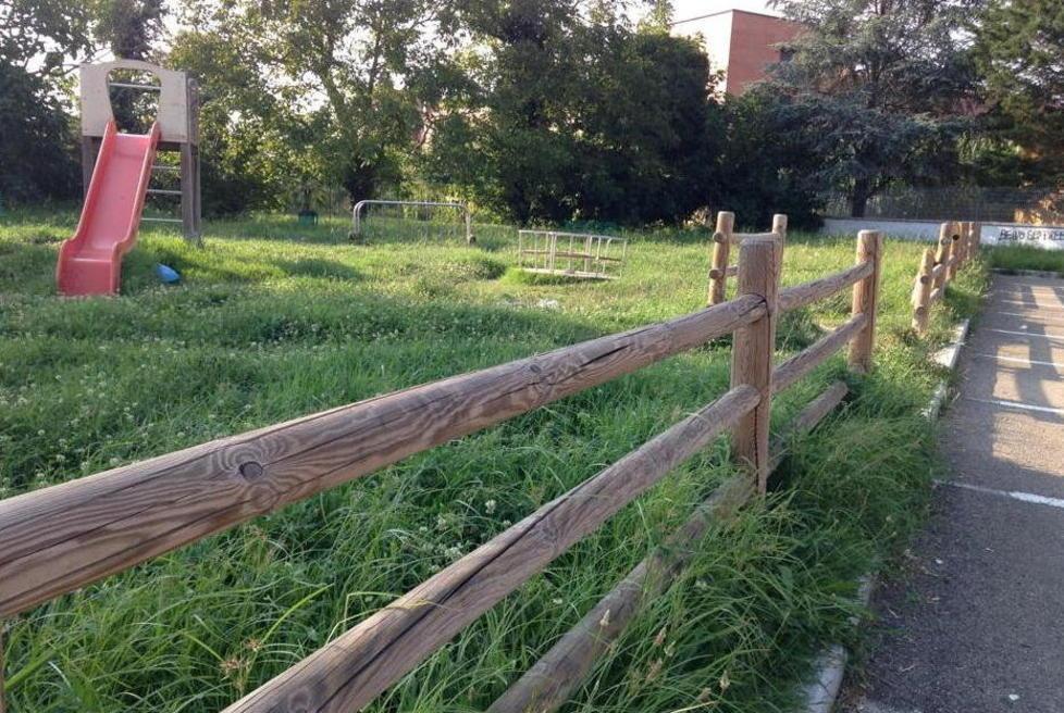 Erba alta, il sindaco controlla il taglio