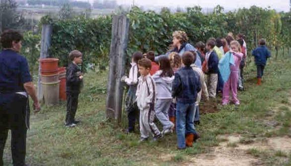 “Oggi sono enologo” Stavolta i bambini fanno la vendemmia
