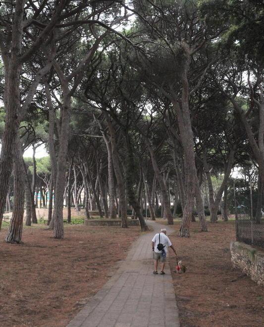 Ecco le telecamere anti vandali alla pineta di ponente 