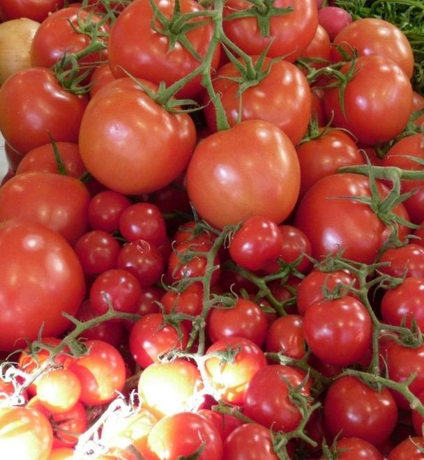 In 50 anni si è perso il 39% della superficie agricola coltivabile 