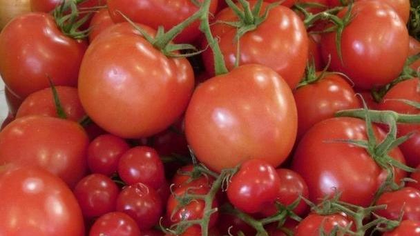 In 50 anni si è perso il 39% della superficie agricola coltivabile