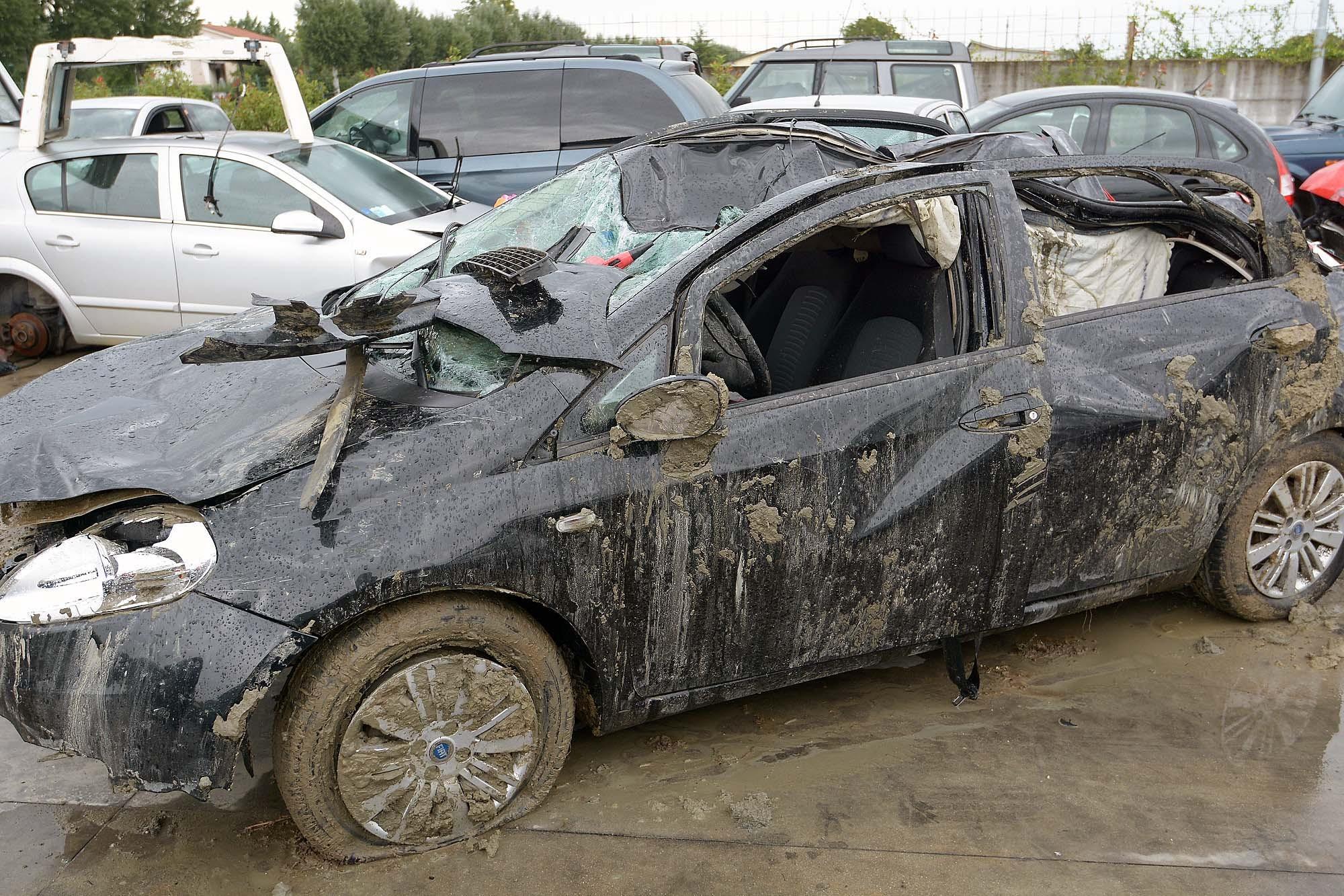 Auto di Giovanna Artioli