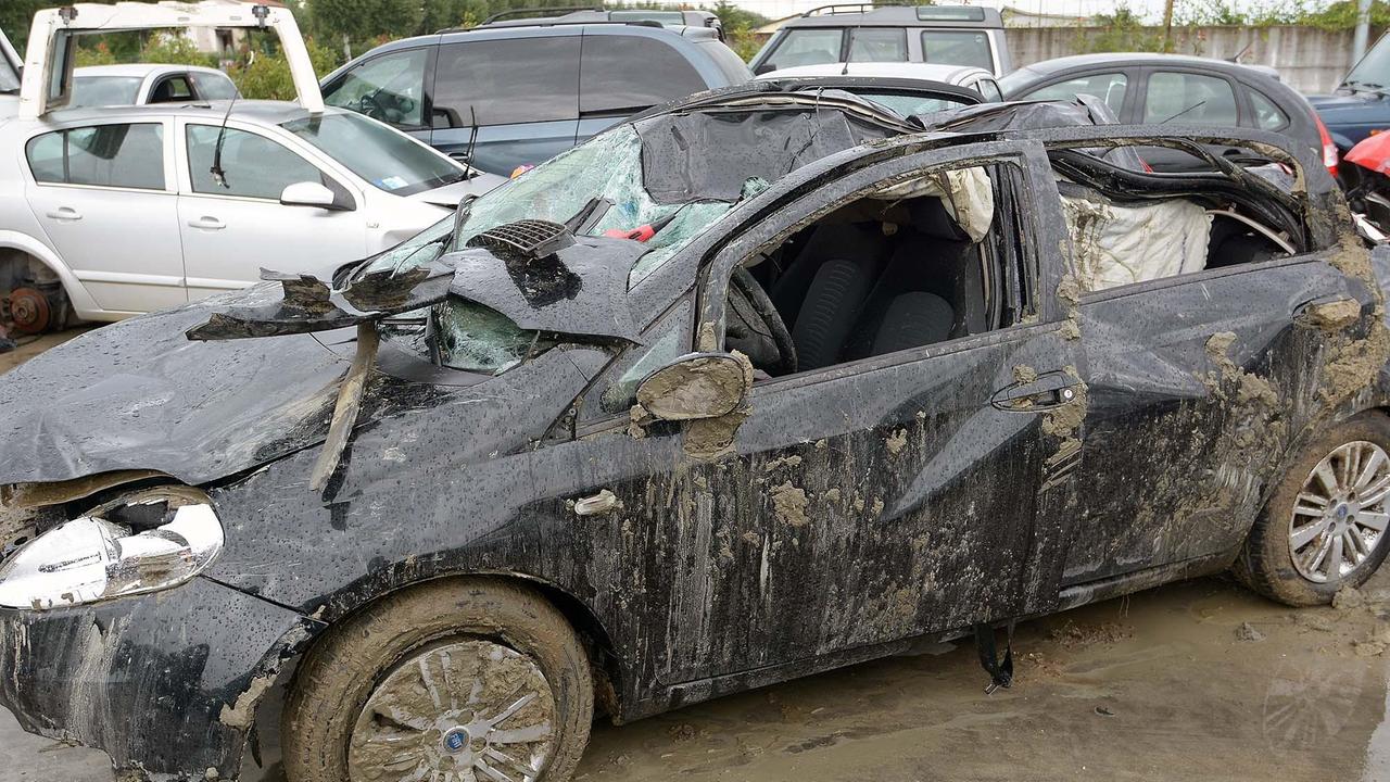 Auto di Giovanna Artioli