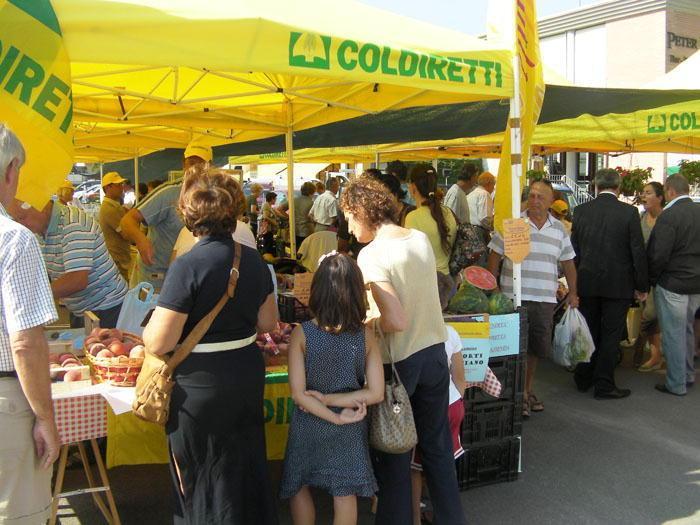 Agricoltura, contributi solo per veri coltivatori 