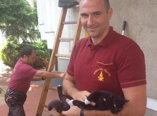 Gattino intrappolato salvato dai vigili del fuoco