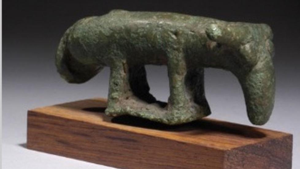 L’assalto a bronzetti e piante autoctone