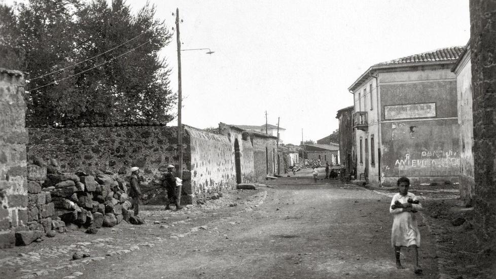 Parenti serpenti, storia di un delitto tra veleno e colpi di randello