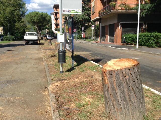 Taglio degli alberi in via Goldoni a Prato, deviata anche la lam Rossa 