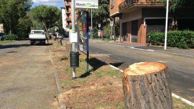 Taglio degli alberi in via Goldoni a Prato, deviata anche la lam Rossa