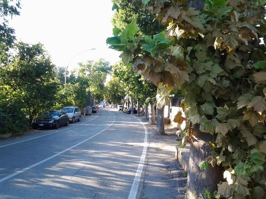 Raffica di furti, è allarme nella zona sud 