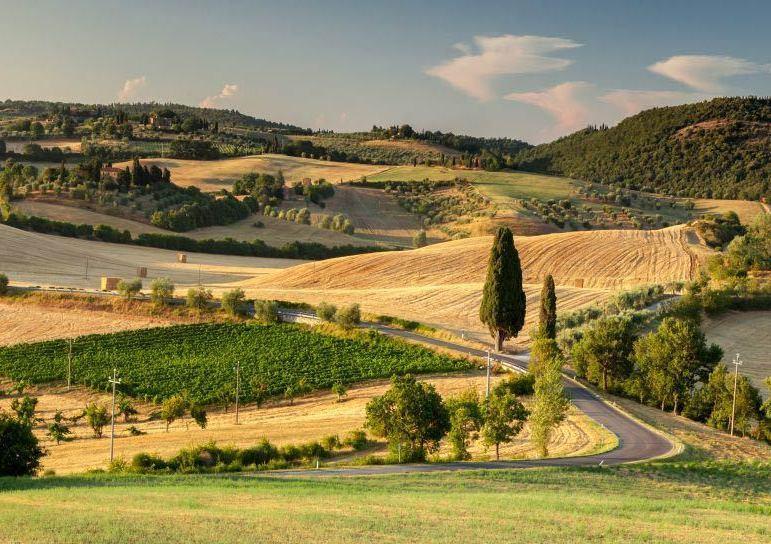 Aziende di vino e olio contro la geotermia 