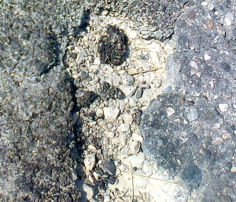 A Migliarino buche a iosa su via Albieri «Che caduta in bici»