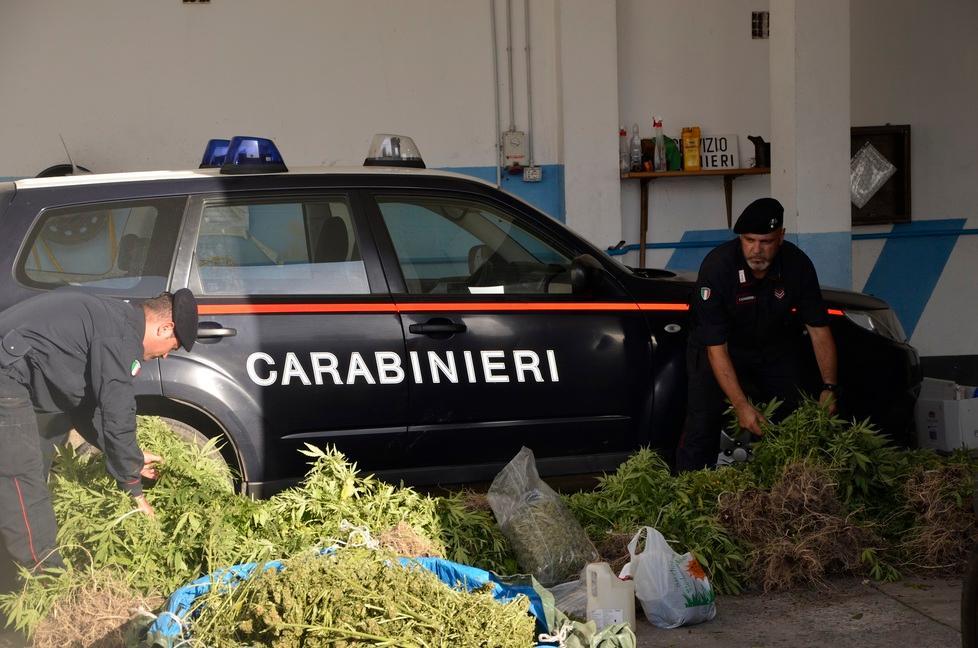 Coltivava cannabis nella sua tenuta di Bonorva, operaio forestale in cella 