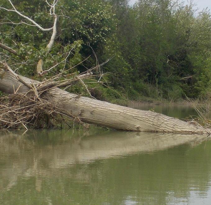 Lavori anti-alluvione A settembre partono gli appalti 