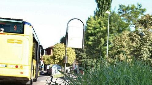 Verde pubblico a Modena, Giacobazzi boccia il M5s